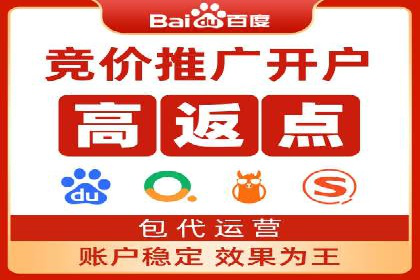 实战经验：竞价推广公司成功案例解析