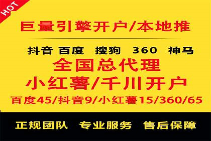 搜索引擎营销（SEM）的投放策略与效果评估——以某行业领先企业的案例分析
